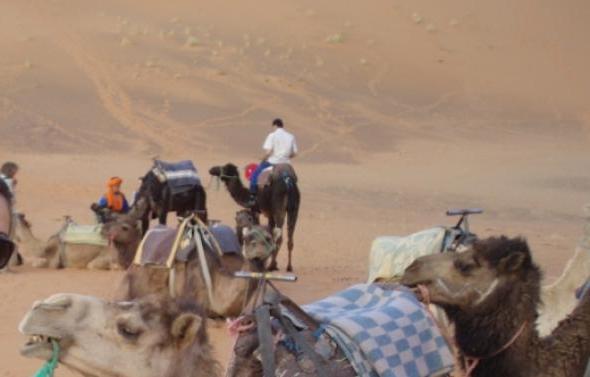 ODU student in Morocco